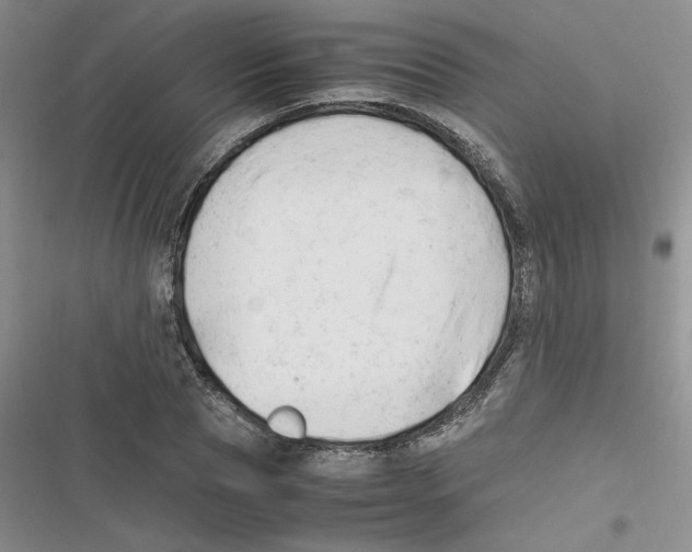 X0000116660929201001111247