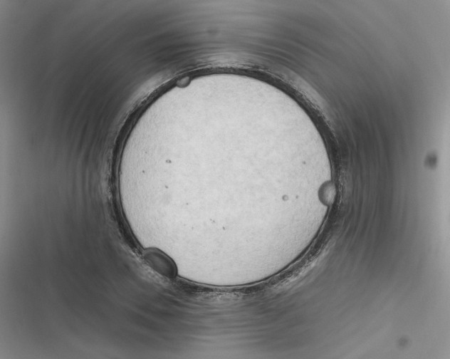 X0000116660930201001111247