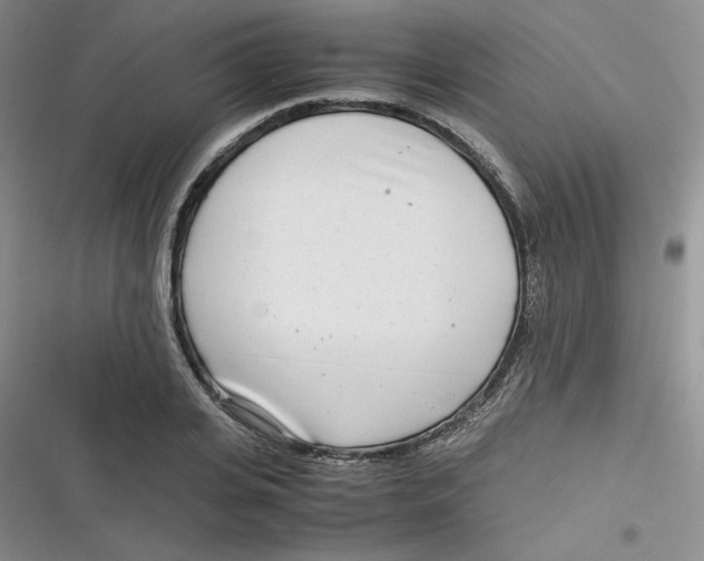 X0000116660935201001111247