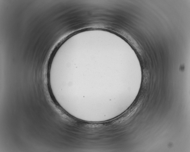 X0000116660939201001111247
