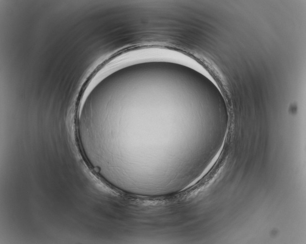 X0000116660941201001111247