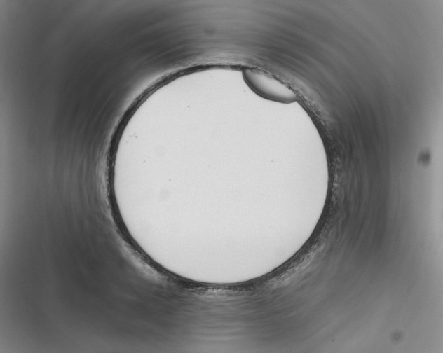 X0000116660942201001111247