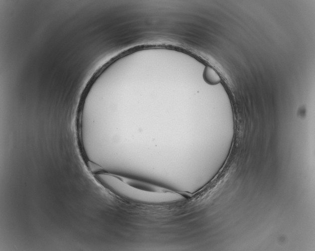 X0000116660943201001111247
