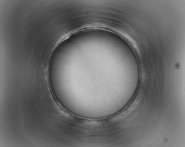 X0000116660945201001111247