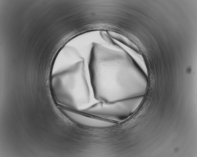 X0000116660946201001111247