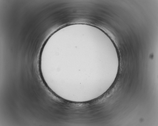 X0000116660949201001111247
