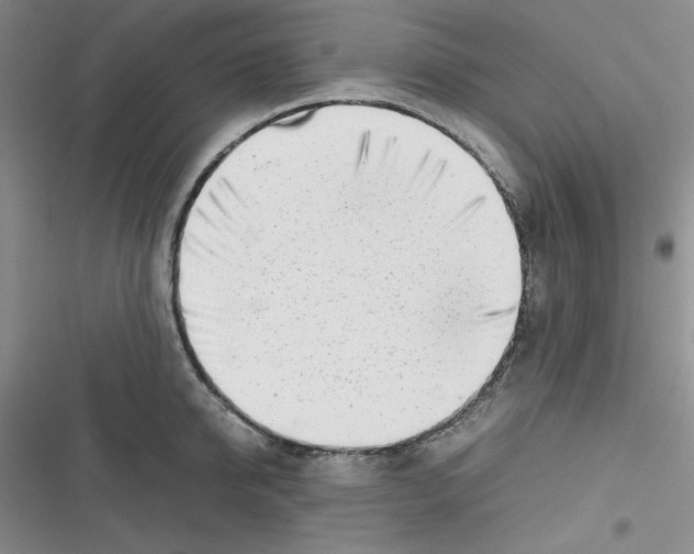 X0000116660950201001111247