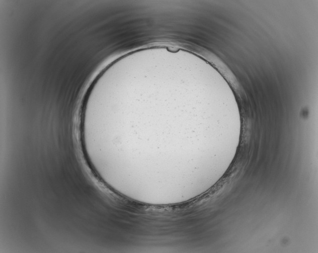 X0000116660955201001111247