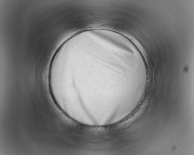 X0000116660957201001111247