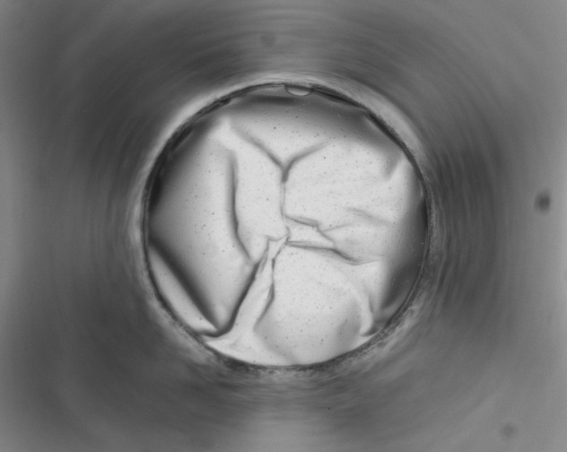 X0000116660958201001111247