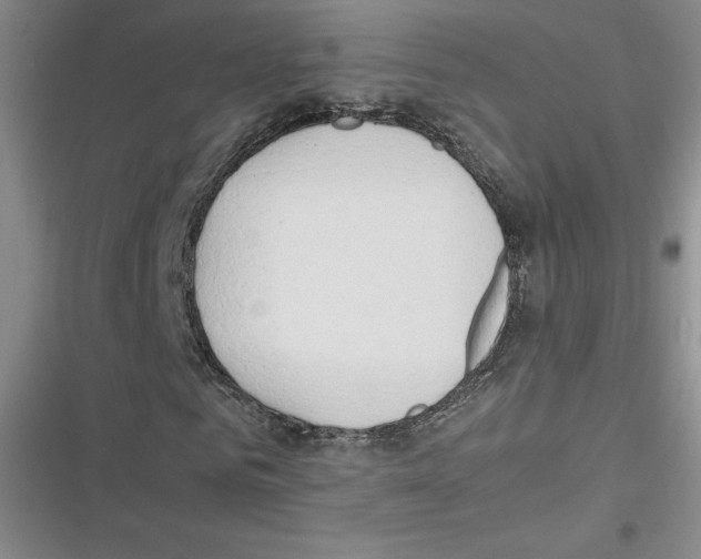 X0000116660961201001111246