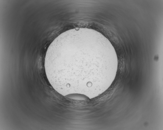 X0000116660962201001111246
