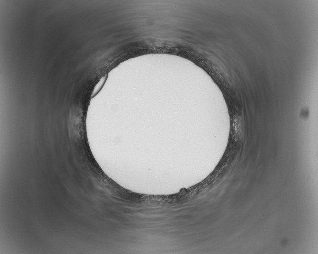 X0000116660963201001111246