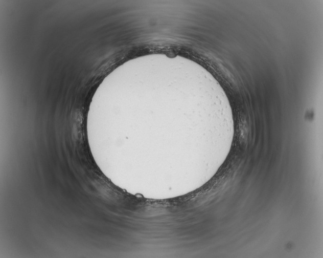 X0000116660964201001111246