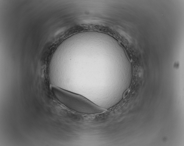 X0000116660965201001111246