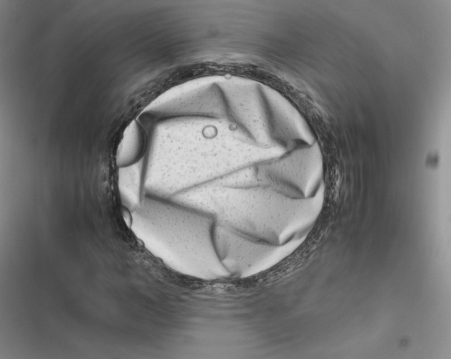 X0000116660966201001111246