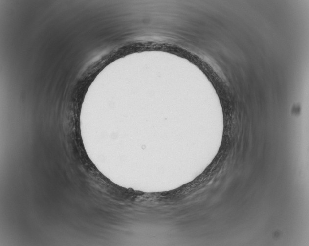 X0000116660967201001111246