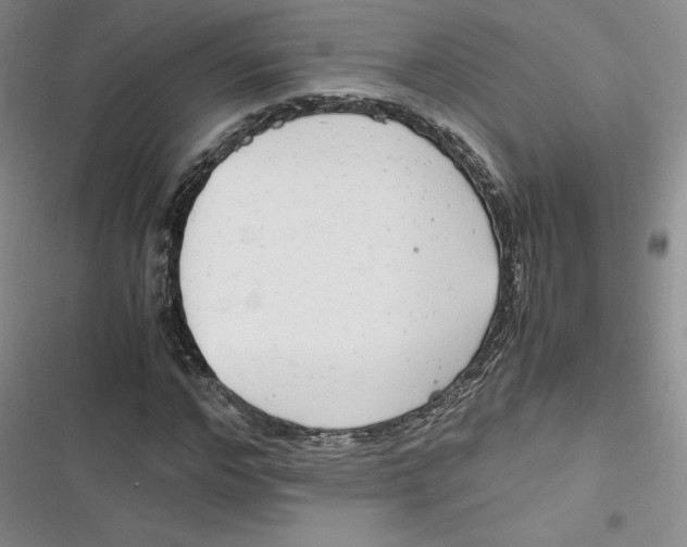 X0000116660968201001111246