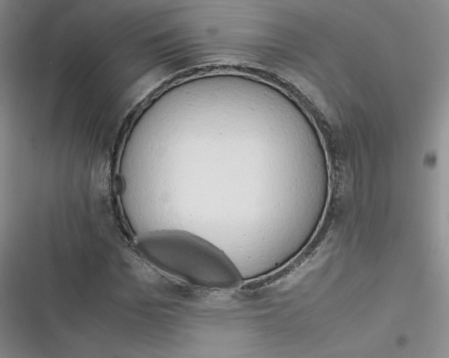 X0000116660969201001111246