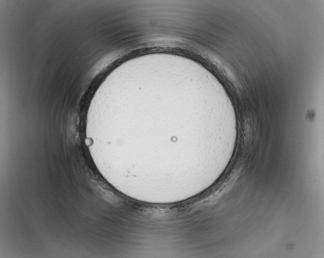 X0000116660970201001111246