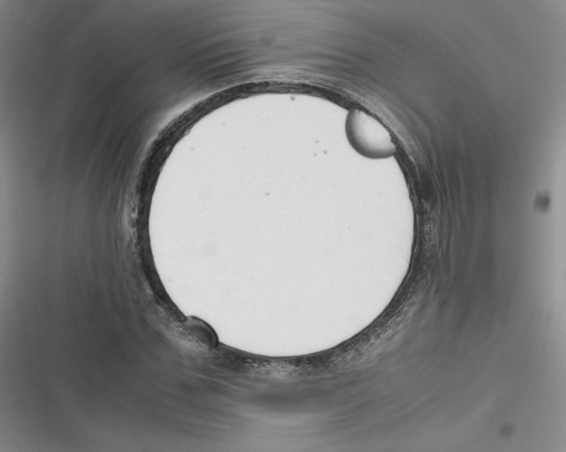 X0000116660971201001111246