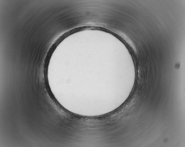 X0000116660972201001111246