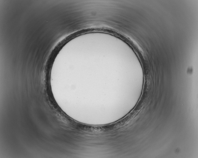 X0000116660975201001111246