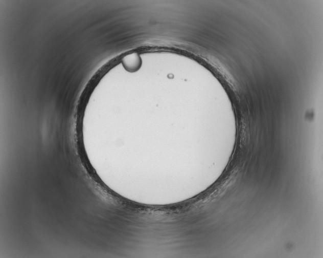 X0000116660976201001111246