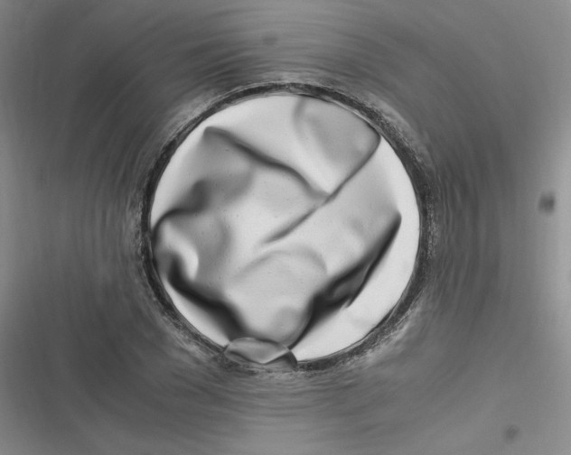 X0000116660977201001111246