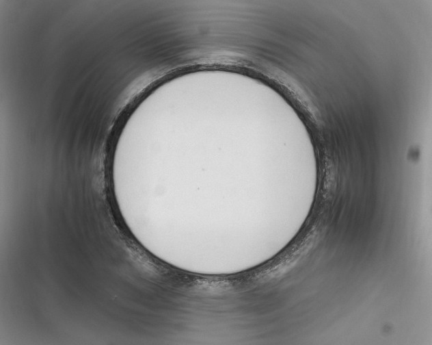 X0000116660978201001111246
