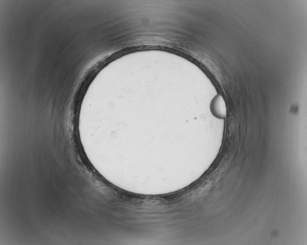 X0000116660979201001111246