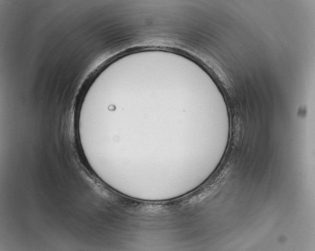 X0000116660982201001111246