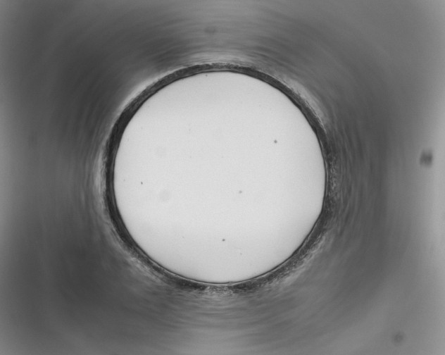 X0000116660983201001111246