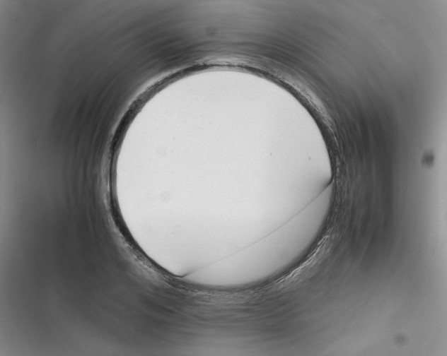 X0000116660984201001111246