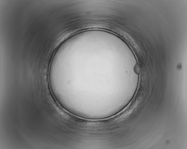 X0000116660985201001111246