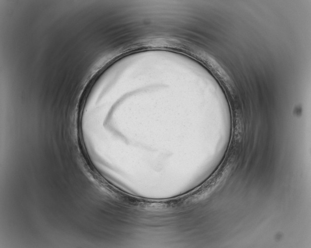 X0000116660986201001111246