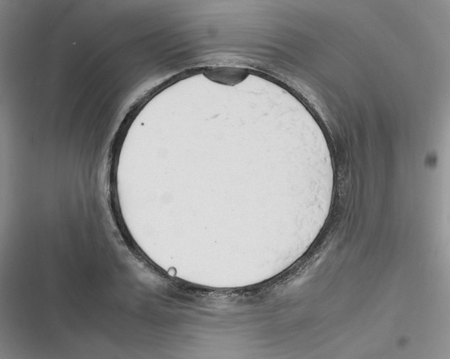X0000116660987201001111246