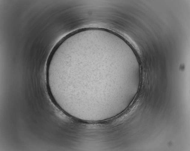 X0000116660988201001111246