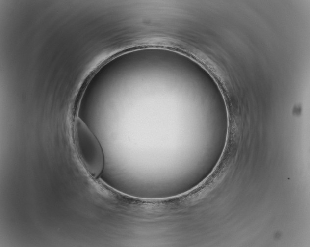 X0000116660989201001111246