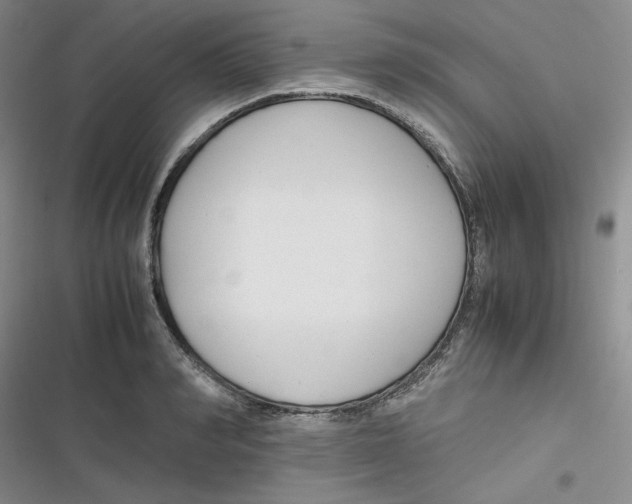 X0000116660990201001111246