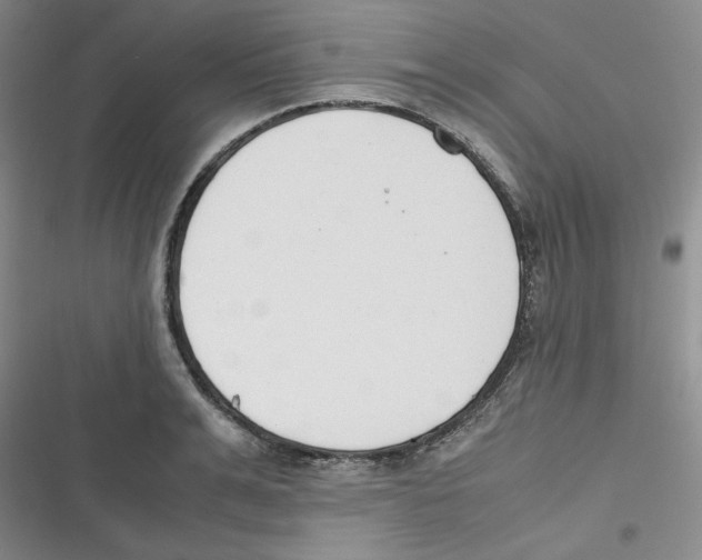 X0000116660991201001111246