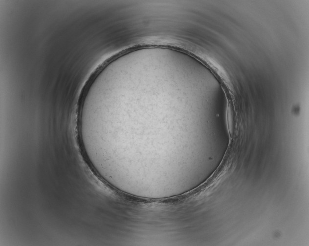 X0000116660992201001111246