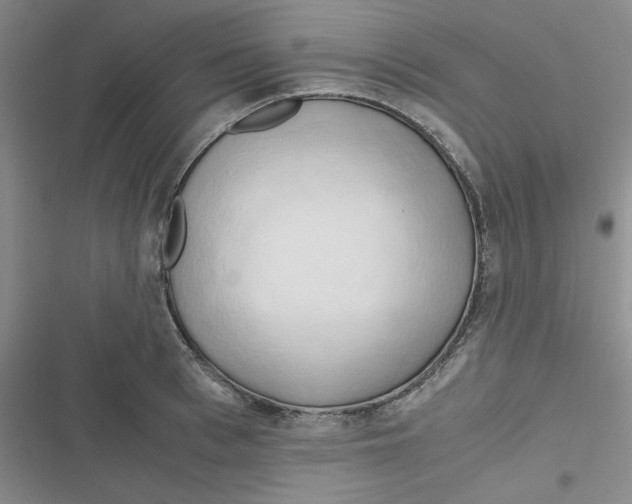X0000116660993201001111246