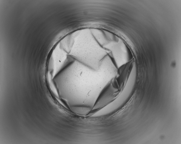 X0000116660994201001111246