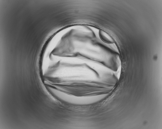 X0000116660995201001111246