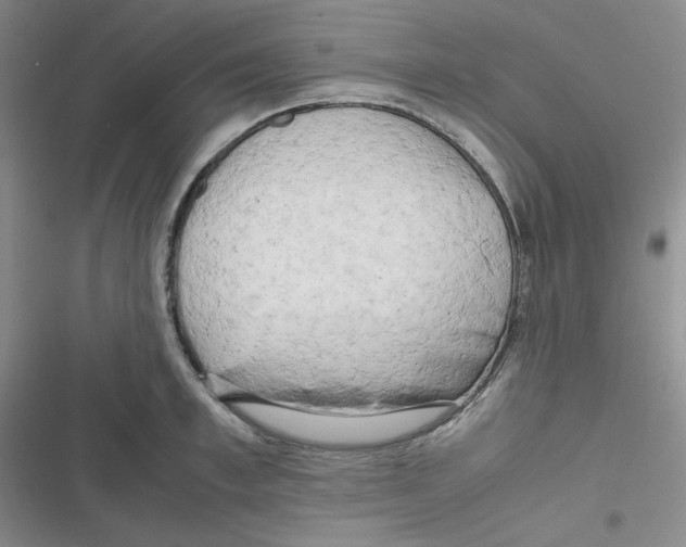 X0000116660997201001111246