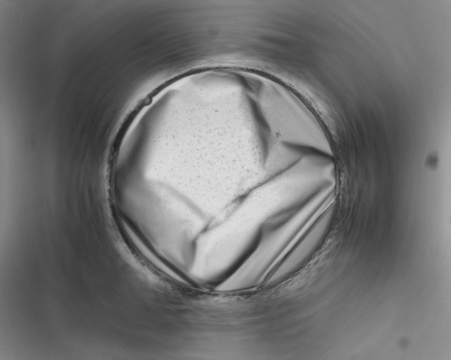 X0000116660998201001111246