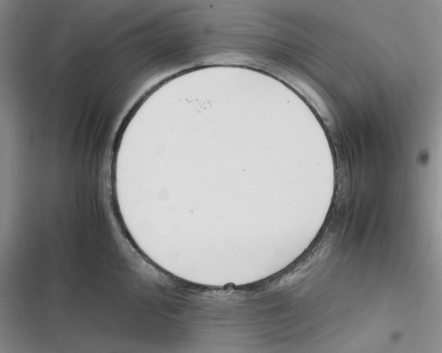 X0000116661000201001111246