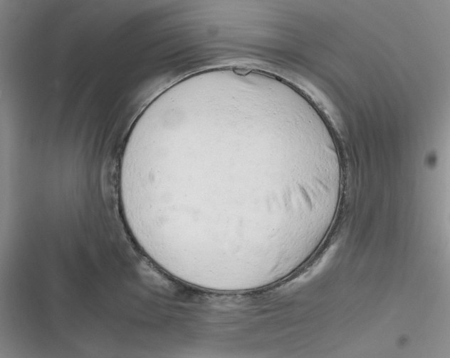 X0000116661001201001111246