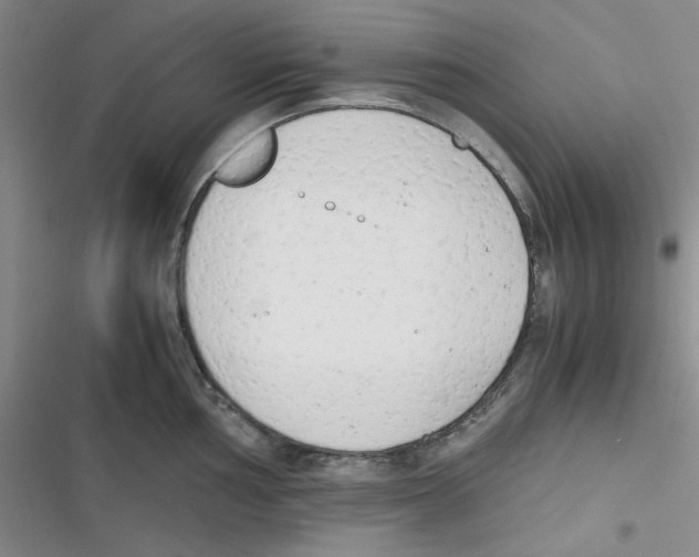 X0000116661002201001111246